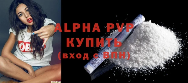 сатива Вяземский