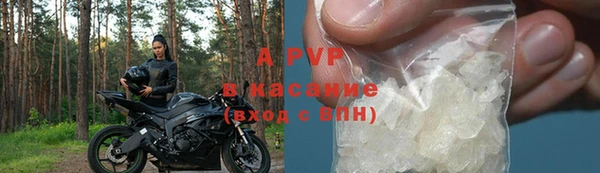 сатива Вяземский