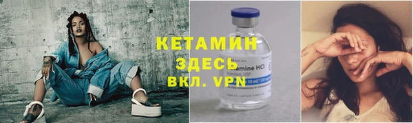 сатива Вяземский