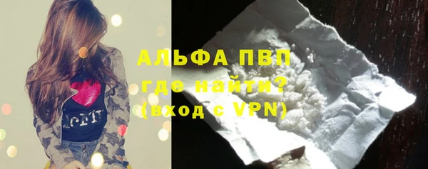 стаф Вязники