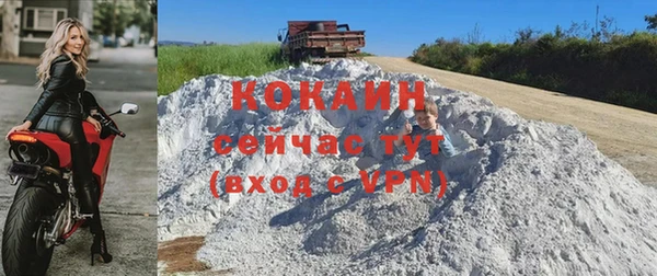 стаф Вязники