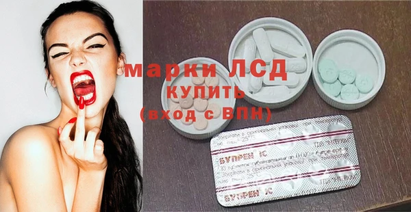 сатива Вяземский