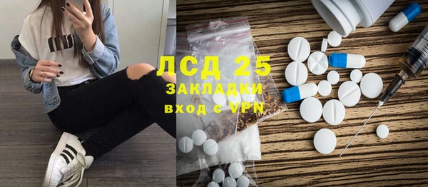 сатива Вяземский