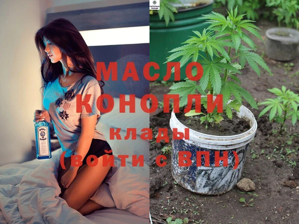 сатива Вяземский