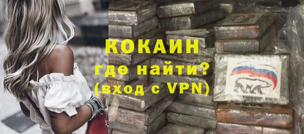 сатива Вяземский