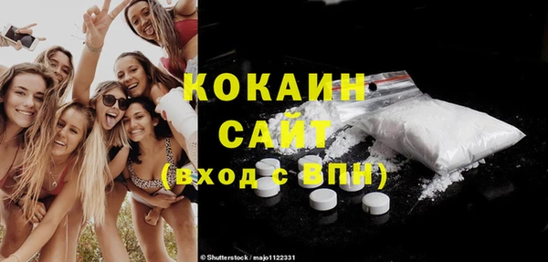 сатива Вяземский