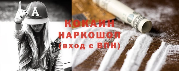 сатива Вяземский