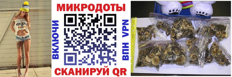 Псилоцибиновые грибы мухоморы  Купить закладки  Темников 