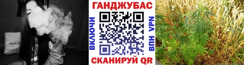 Купить закладки  Темников  Бошки марихуана Ganja 